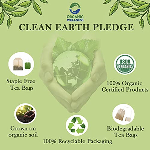 Organic Wellness Tulsi Indian Rose Herbal Hot and Iced Tea Stress Relieving & Magical, Immune Support, Adaptogen, Vegan, USDA Certified Organic, Non-GMO, 25 Infusion Bags, 1 Pack