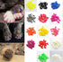 JOYJULY Soft Cat Kitty Nail Caps Claws Covers for Cats Paws Grooming Claw Care, 100pcs 4 Size of 1 Glitter Shinning & 4 Solid Colors & 5 Glues (M)