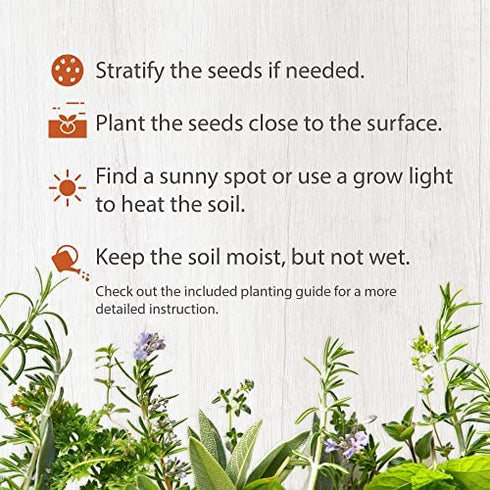 3600+ Herb Seeds - 12 Heirloom Varieties, Non-GMO Herbs Seeds for Planting Indoors & Outdoors | Culinary Herb Garden Seed Pack: Basil, Cilantro, Thyme, Mint, Oregano, Chives, Dill, Parsley, Tarragon