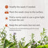 3600+ Herb Seeds - 12 Heirloom Varieties, Non-GMO Herbs Seeds for Planting Indoors & Outdoors | Culinary Herb Garden Seed Pack: Basil, Cilantro, Thyme, Mint, Oregano, Chives, Dill, Parsley, Tarragon