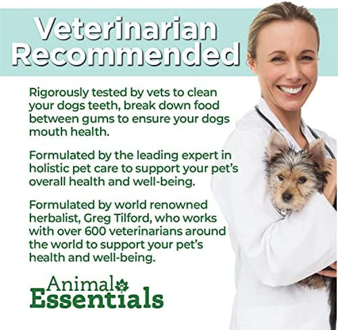 Animal Essentials Liver Defense Liver Support for Dogs & Cats, 1 fl oz - Made in USA, Dandelion & Milk Thistle