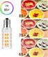 2Pack Makeup Mirror LED Bulbs Replacement Mirror 20W RP34B Light Bulb fits BE151T BE71CT BE47X BE47BR for Cosmetic Vanity Makeup Mirror with Single Double Sided Lighted Magnification (3000K)