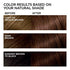 L'Oreal Paris Feria Multi-Faceted Shimmering Permanent Hair Color, 45 French Roast (Deep Bronzed Brown), Pack of 1, Hair Dye