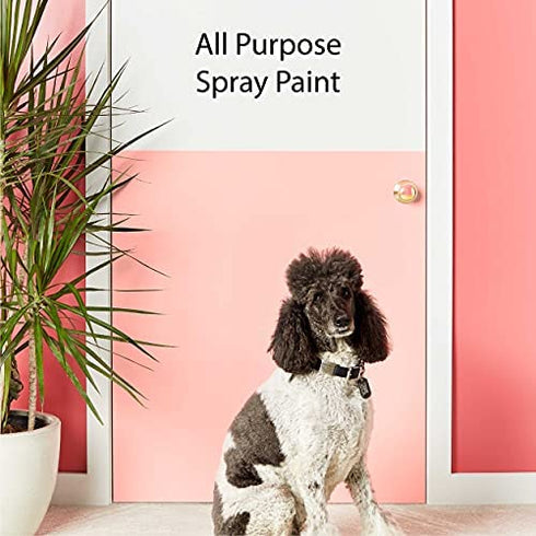 Krylon K05515007 COLORmaxx Acrylic Clear Finish for Indoor/Outdoor Use, Gloss Crystal Clear