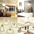 OPALRAY Low Voltage 12V Input Edison Style Classical A60(A19) Bulb, Dimmable with 12V DC Dimmer, 6W 600LM, 4000K Natural White, E26 Medium Base, 60W Incandescent Equivalent, 12V-24V DC Power, 2 Pack