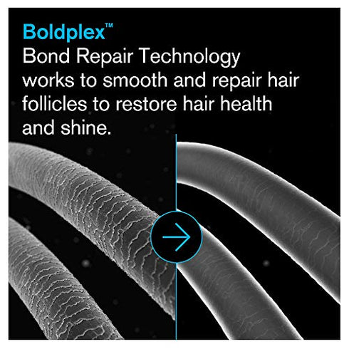BoldPlex 3 Hair Mask - Deep Conditioner Protein Treatment for Dry, Damaged Hair - Conditioning Moisturizer Products for Curly, Bleached, or Frizzy Hair - Vegan & Cruelty Free - 6.76 Fl Oz