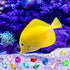 PANTIDE 35Pcs Acrylic Diamond Gems Jewels Alloy Gold Round Ring Set The Blue Hedgehog Chaos Emeralds Power Rings Party Favor Supplies Cake Decoration Pirate Treasure Chest Hunt for Kids with Bag