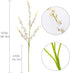 Nubry 12pcs Artificial Orchids Flowers Fake Silk Dancing Lady Orchid Faux Long Stem Flowers in Bulk for Home Wedding Office Party Festive Indoor Outdoor Decoration (White)