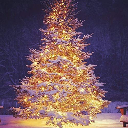 Twinkle Star LED String Lights, Plug in String Lights 8 Modes Waterproof for Indoor Outdoor Christmas Tree Wedding Party Bedroom (*Warm White, 33 ft)