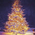 Twinkle Star LED String Lights, Plug in String Lights 8 Modes Waterproof for Indoor Outdoor Christmas Tree Wedding Party Bedroom (*Warm White, 33 ft)