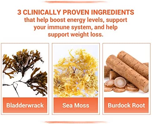 INFINITE AGE: Sea Moss Advanced - High-Potency Vegan Superfood with Bladderwrack and Burdock Root - 60 Capsules - Overall Health and Immunity Support - Made in The USA - Purity Transparency