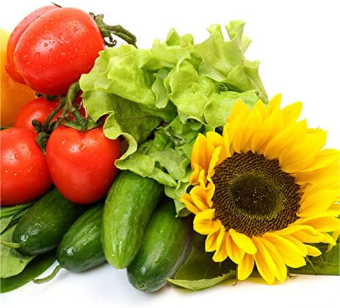 AeroGarden Grow Anything Seed Pod Kit for AeroGarden Hydroponic Indoor Garden, 9-Pod