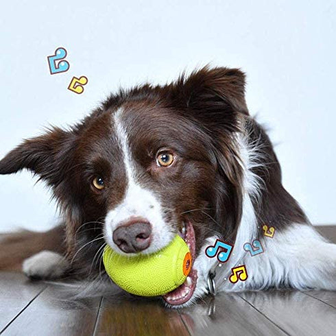 LaRoo Squeaky Dog Ball Toy, Durable Natural Rubber Squeaker Ball Floating Throwing Training, Teeth Cleaning Chew Toy for Pet Small Medium Large Dogs (6.5cm Green)