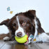 LaRoo Squeaky Dog Ball Toy, Durable Natural Rubber Squeaker Ball Floating Throwing Training, Teeth Cleaning Chew Toy for Pet Small Medium Large Dogs (6.5cm Green)