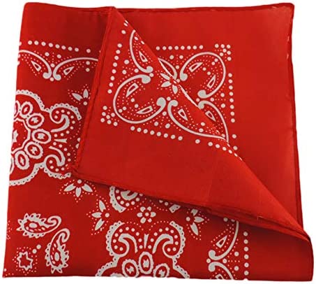 Blue Striped Child Engineer Hat, Red & White Paisley Bandana & Whistle Set