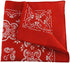 Blue Striped Child Engineer Hat, Red & White Paisley Bandana & Whistle Set