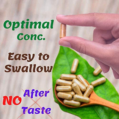 1950mg Soursop Graviola Capsules (Guanábana) Organic Leaves Powder Rich in Powerful Anti-Oxidants - 120 Capsules 40 Servings