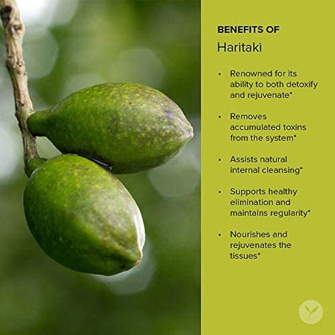 Banyan Botanicals Haritaki – Certified Organic Haritaki Tablets – Terminalia Chebula – Supports Detoxification & Rejuvenation* – 90 Tablets – Sustainably Sourced Certified Fair for Life Fair Trade