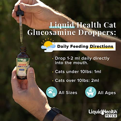 LIQUIDHEALTH 2.3 Oz Liquid Cat Glucosamine Joint Purr-Fection - Hip and Joint Health Relief Support, Chondroitin Feline Droppers -Senior Older Cats, Kittens