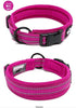 Dog Collar Reflective Premium Duraflex Buckle,High Grade Nylon Webbing No Choke Basic Collars Truelove TLC5011(Fushcia,XL)
