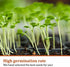3600+ Herb Seeds - 12 Heirloom Varieties, Non-GMO Herbs Seeds for Planting Indoors & Outdoors | Culinary Herb Garden Seed Pack: Basil, Cilantro, Thyme, Mint, Oregano, Chives, Dill, Parsley, Tarragon