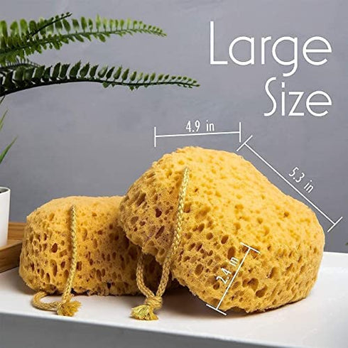 myHomeBody Premium Bath Sponge, Foam Loofah Sponge, Body Sponge for Shower - Large Size, Lots of Lather, Curvy, 3 Pack