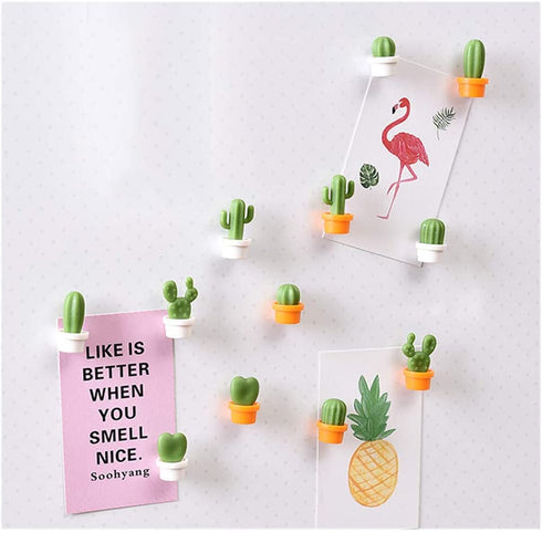 TabEnter Decorative Refrigerator Magnets, Perfect Fridge Magnets for House Office Personal Use (12Pcs Cactus)