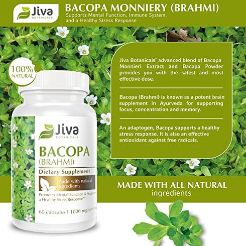 Jiva Botanicals - Bacopa Monnieri Capsules - Brahmi Capsules - Bacopa Extract Capsules - Bacopa Capsules - Bacopa Monnieri Extract - Bacopa 300mg - Bacopa Supplement & Brahmi Supplement - 60 Capsules