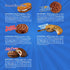 Little Debbie Cookie Variety Pack, 2 Boxes Of Oatmeal Creme Pies, 1 Box Of Fudge Rounds, 1 Box Of Chocolate Chip Creme Pies, 1 Box Of Star Crunch, 1 Box Of Jelly Creme Pies, 6 Piece Assortment
