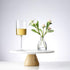 JoyJolt White Wine Glasses Claire Collection 11.4 Ounce Wine Glasses Set of 2 Deluxe Crystal Glasses with Ultra-Elegant Design Ideal for Home Bar, Kitchen, Restaurants Made in Europe