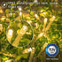36ft 100 LED Battery Operated String Lights with Auto-Timer for Outdoor Garden Patio Lawn Party (IP65 Waterproof, 8 Modes, 120 Hours of Lighting, Warm White)