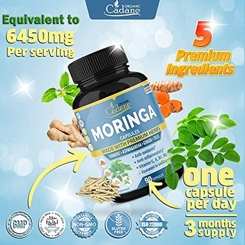 Organic Moringa Extract Capsules equivalent to 6450MG, 3 Months Supply & Ashwagandha, Tulsi, Ginger, Turmeric| Multi Vitamin Oleifera Leaf Herb| Support Immune, Energy Booster| Anti-Inflammatory Herbs