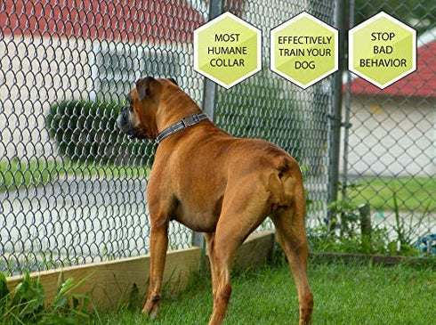 Downtown Pet Supply - Citronella Dog Collar - Humane No-Bark Collar Set with Citronella Spray - Rechargeable, No-Shock Bark Collar - Collar, Spray Device, Citronella Spray, USB Charger & Manual