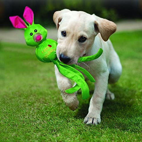 KONG - Wubba Friends Ballistic - Nylon Tug of War Dog Toy - For Small Dogs (Assorted Characters)