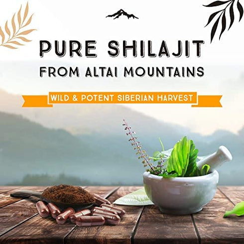 Pure Shilajit Capsules, Genuine Siberian Shilajit Extract, Natural Fulvic Acid Dietary Supplement (90ct, 200mg Each, Pack of 1)