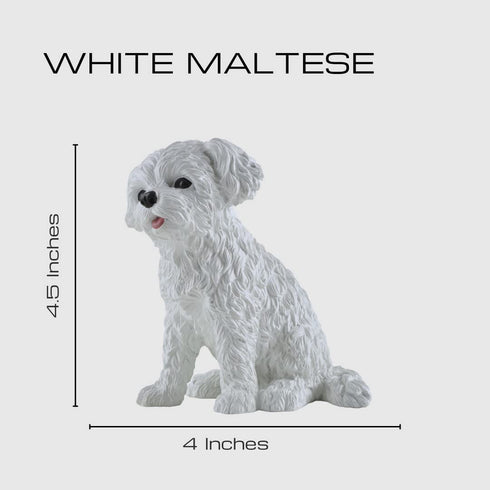 Boulevard East Concepts Maltese Breed Puppy Dog Collectible Figurine Statue