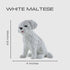 Boulevard East Concepts Maltese Breed Puppy Dog Collectible Figurine Statue