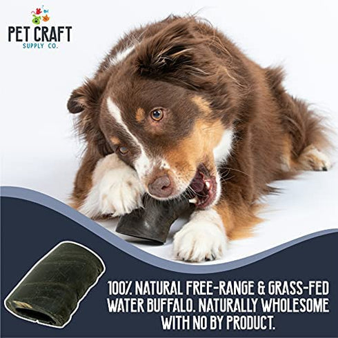 Natural Water Buffalo Tuffie Horns - Pure Grass Fed Buffalo | Dog Bones for Aggressive Chewers | Puppy Teething Chew | Puppy Supplies | Dog Treats | Dog Bones for Large Dogs