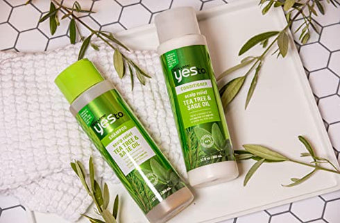 Yes To Tea Tree Scalp Relief Conditioner, Finishing Step To Calm Dry Itchy Scalp, Hydrates & Softens Hair With Long Lasting Moisture, With Tea Tree & Sage Oil, Natural, Vegan & Cruelty Free, 12 Fl Oz
