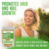 XPRS Nutra Horsetail Extract Powder for Hair, Nail, and Bone Growth - High Potency Horsetail Root Powder - High Silica Content for Maximum Growth - Vegan Friendly Horstail Extract (8oz)