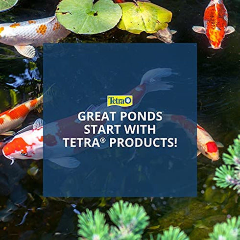 TetraPond Pond Sticks 3.53 Ounces, Pond Fish Food, For Goldfish And Koi, Tetra Pond Pond Sticks, Healthy Nutrition for Goldfish and Koi