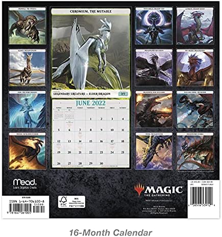 2022 Magic: The Gathering Wall Calendar, 12" x 12", Monthly (DDW21728)