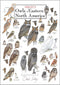 Earth Sky + Water - Sibley™s Owls of Eastern North America - Poster