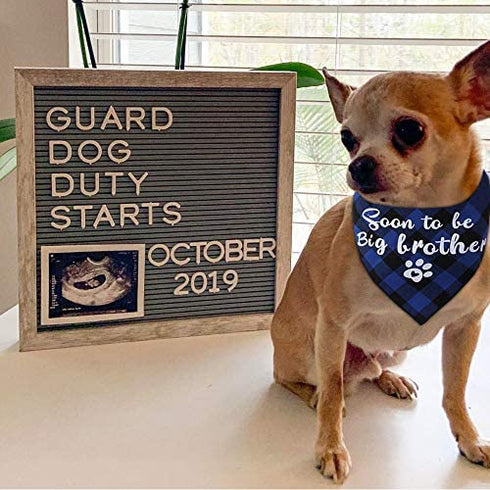 JPB 2 Pack Sooner to be Big Brother Dog Bandana,Pet Baby Announcement Plaid Scarf Gender Reveal Accessories