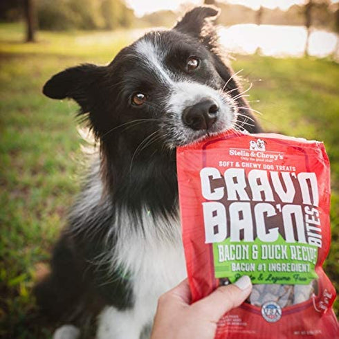 Stella & Chewy's Crav'n Bac'n Dog Treats Bacon & Pork Recipe, 8.25 oz. Bag