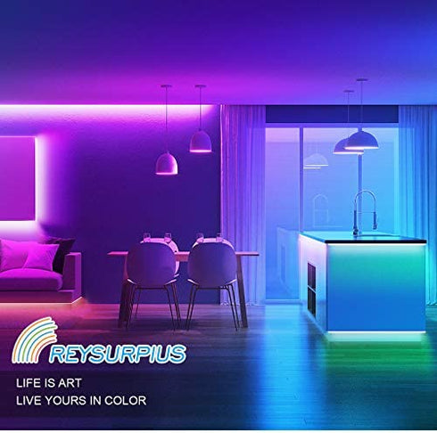 REYSURPIUS 2 Pack 44 Key RGB LED Strip Light Remote Controller Wireless Dimmer IR Remote Control,led Light Remote Control Replacement,Reemplazo remoto LED,for SMD 5050 3528 2835 RGB LED Light Strip
