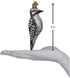 Old World Christmas Vintage Hairy Woodpecker