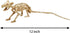 Skeleton Cat and Rat Skeleton for Halloween Decorations, Skeleton Animal Yard Decor and Reaper Bones Animals