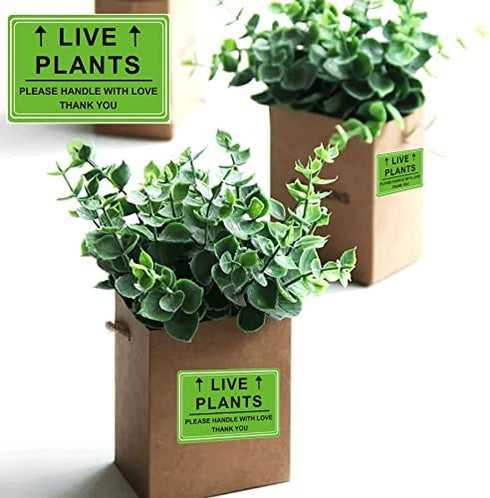 Green Live Plants Stickers for Shipping 2x3 inch Please Handle with Love Stickers Fragile Shipping Labels for Warehouse Pallet 250 pcs Live Plants Stickers per roll