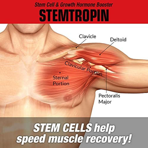 MuscleMeds STEMTROPIN Stem Cell & Growth Factor Booster, Natural Supplement for Performance Enhancement & Anti-Aging, Muscle Building and Recovery, 60 Veggie Capsules